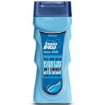 شامپو ضد شوره موهای خشک آی پلاس ۲۵۰ میلی لیتر